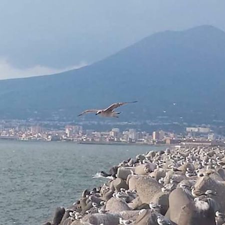 Casa Vacanza Nonna Antonietta Castellammare di Stabia Εξωτερικό φωτογραφία